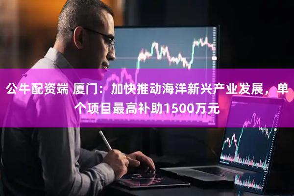 公牛配资端 厦门：加快推动海洋新兴产业发展，单个项目最高补助1500万元
