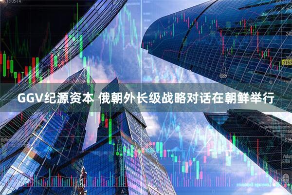 GGV纪源资本 俄朝外长级战略对话在朝鲜举行