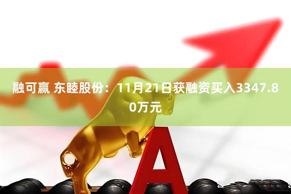 融可赢 东睦股份:11月21日获融资买入3347.80万元