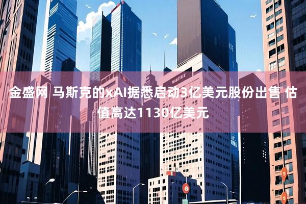 金盛网 马斯克的xAI据悉启动3亿美元股份出售 估值高达1130亿美元