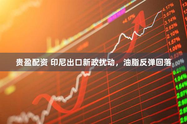 贵盈配资 印尼出口新政扰动,油脂反弹回落